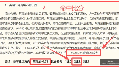 2026独家：日本桑拿房创新技术，体验重生般的孕育之旅